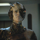 Image for article titled What Early Humans Might Have Had In Common With The Borg